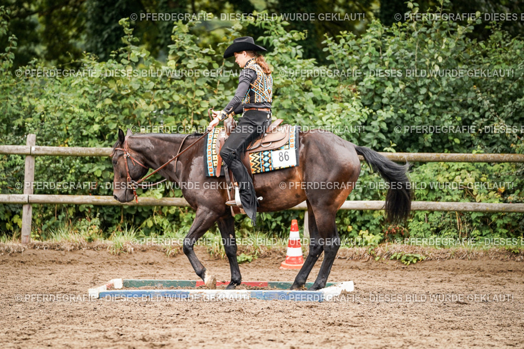 DSC04321 | Pferdegrafie