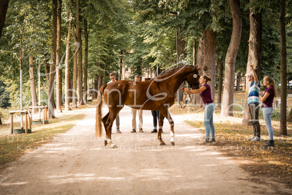 FrPfM00263 | Leoni Ertmer Photography - Realisiert mit Pictrs.com