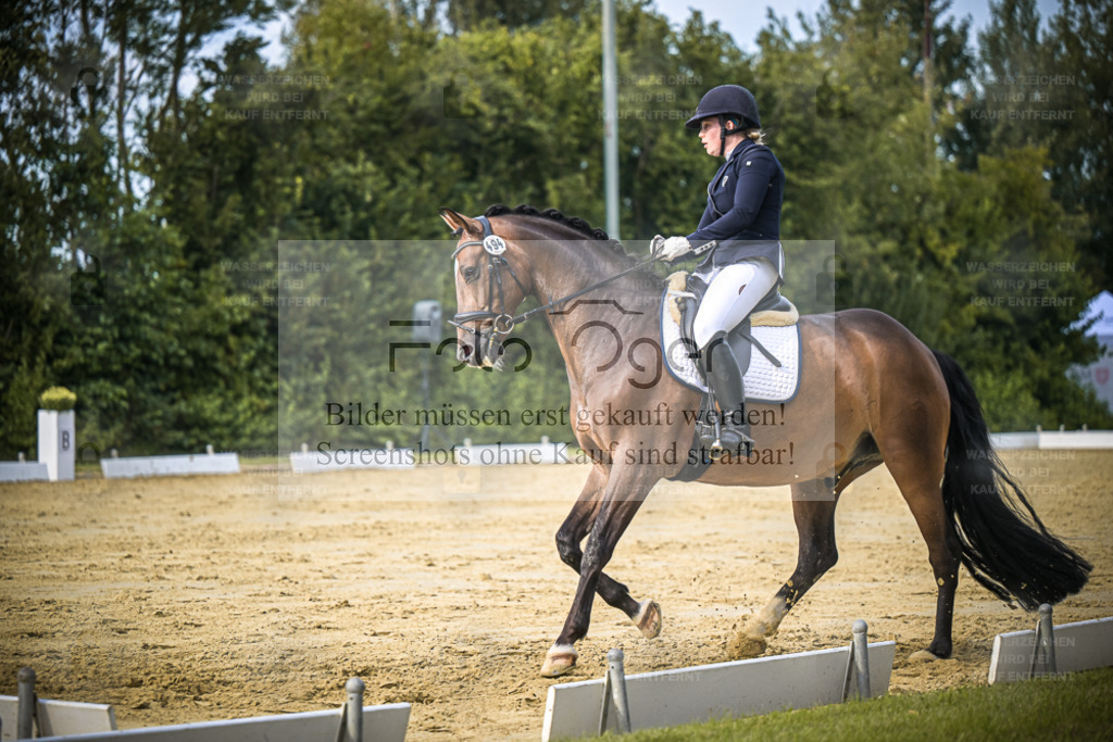 DOS_8972 | Entdecke hochwertige Reitturnierfotos von Foto Oger. Professionell, emotional und authentisch – jetzt Lieblingsmomente im Shop bestellen. - Realisiert mit Pictrs.com