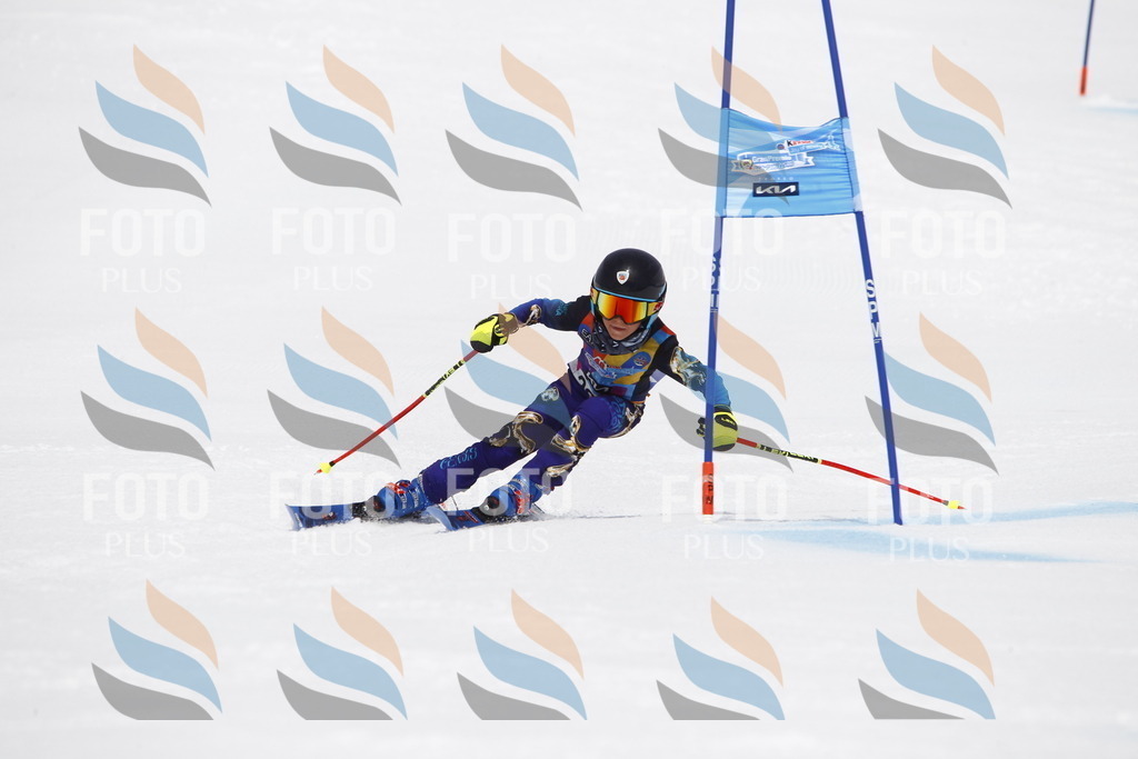 _U3G7088 | holidayphoto