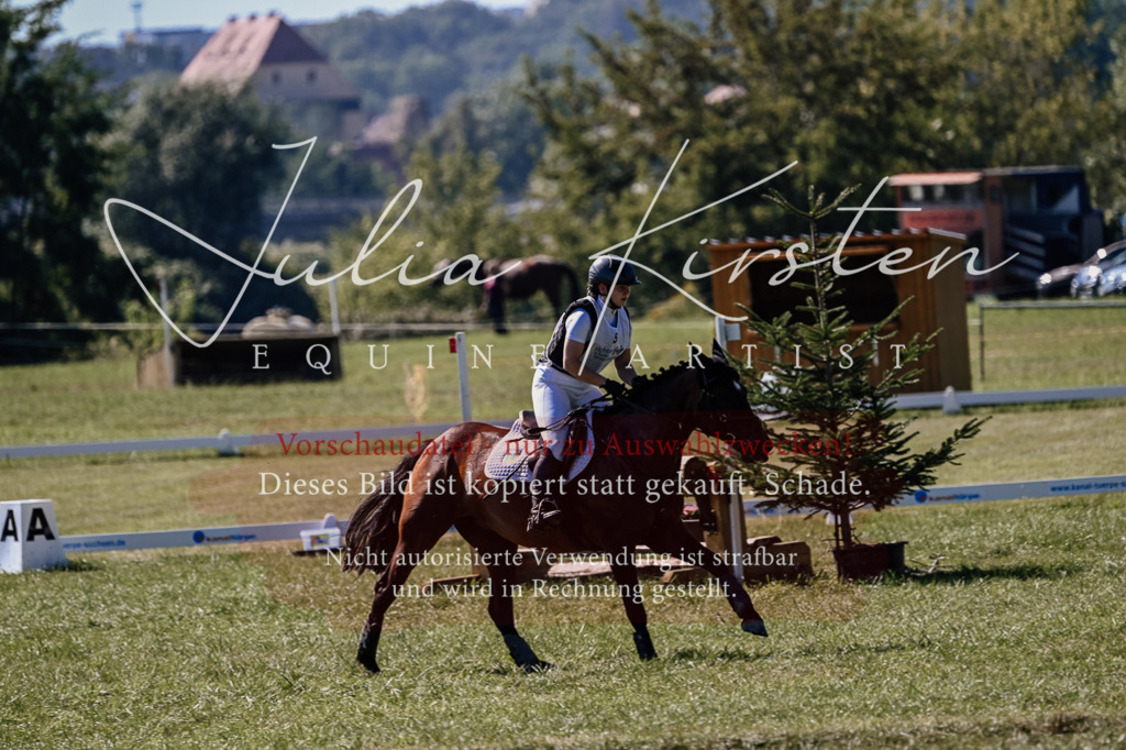 DSC_1506 | Pferde- und Turnierfotografie in Westsachsen. Pferdeportraits, Auftragszeichnungen und intuitive Kunst.