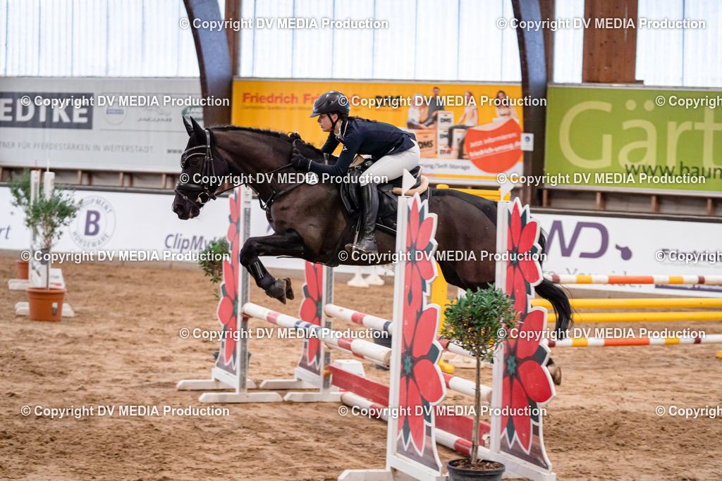 Kranichstein Tag 3-052 | dv-media-shop - Realisiert mit Pictrs.com