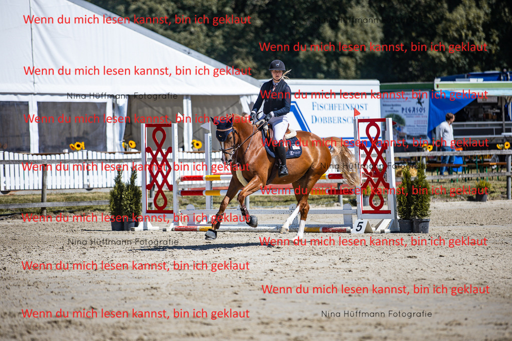 BK1A5468 | Turnierbilder Turnierfotos Nina Hüffmann Turnierfotografie Pferdefotografie Tierzeichnung Haustierzeichnung Pferdezeichnung Hundezeichnung Videograf  - Realisiert mit Pictrs.com
