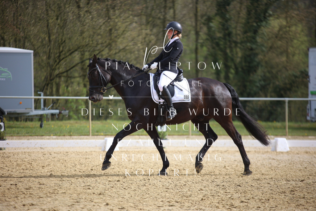 IMGT6147 | pl-fotografie