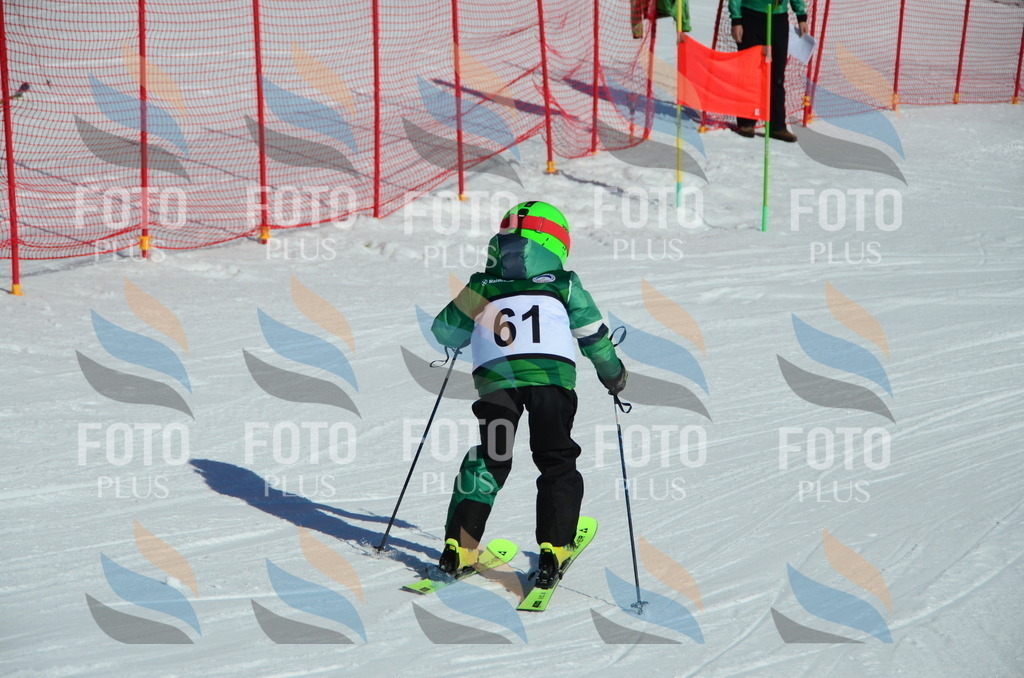 C5374 | holidayphoto