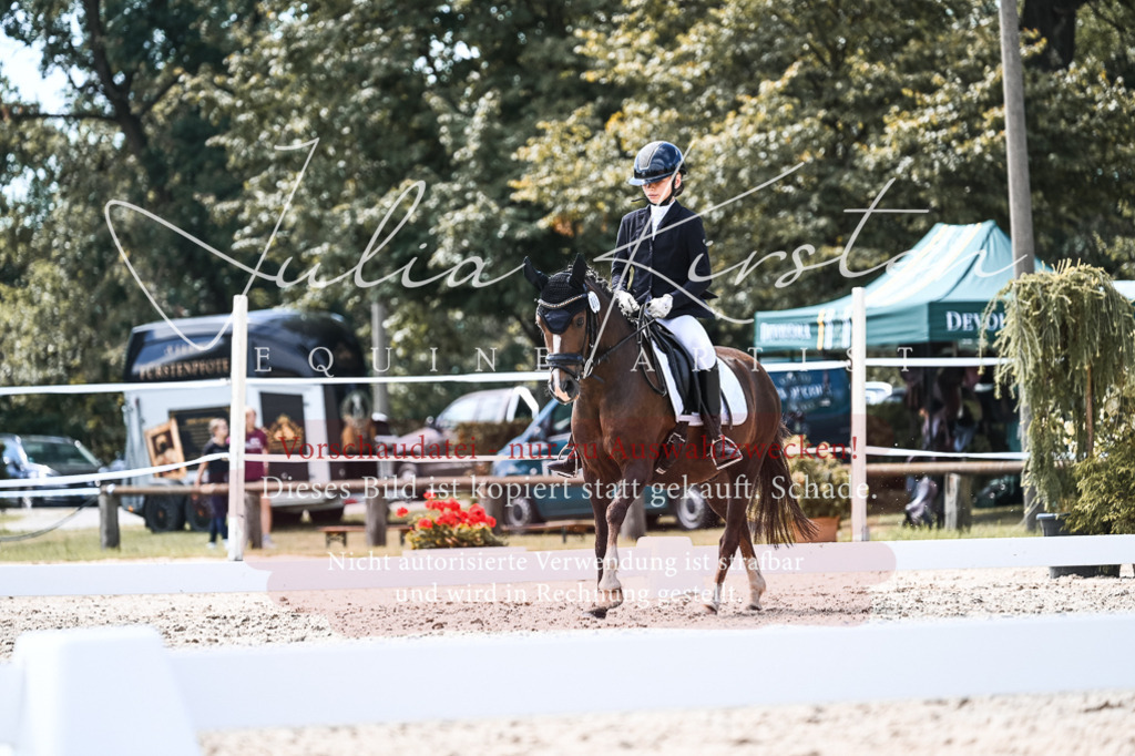 DSC_5732 | Pferde- und Turnierfotografie in Westsachsen. Pferdeportraits, Auftragszeichnungen und intuitive Kunst.