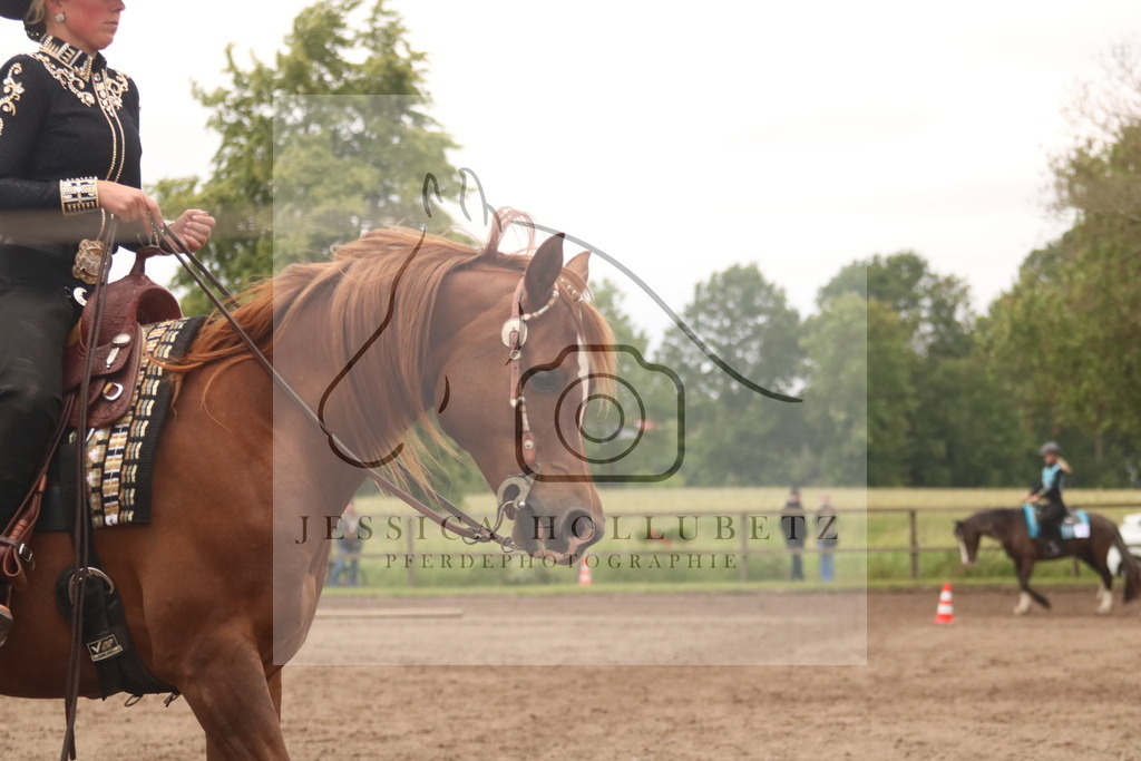 IMG_1296 | jessicahollubetz_pferdephotographie - Realisiert mit Pictrs.com
