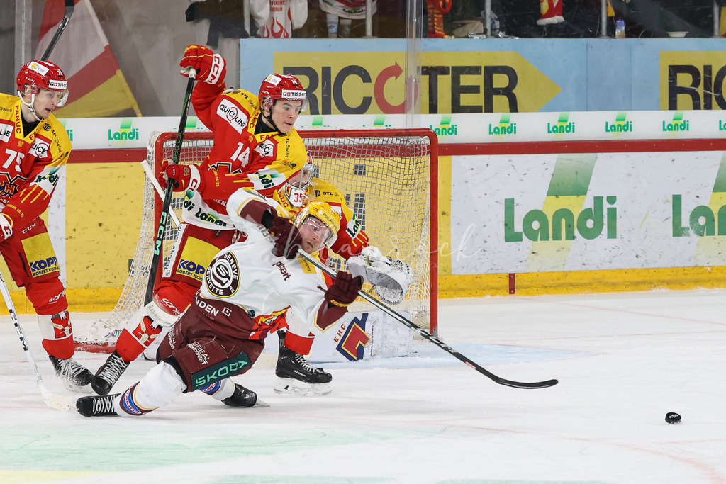 EHC Biel-Bienne vs Genève-Servette HC - 16. February 2025 | EHC Biel-Bienne vs Genève-Servette HCTissot Arena, Biel-BienneBild: Waltraud Blaurock | Blaurock Pix
