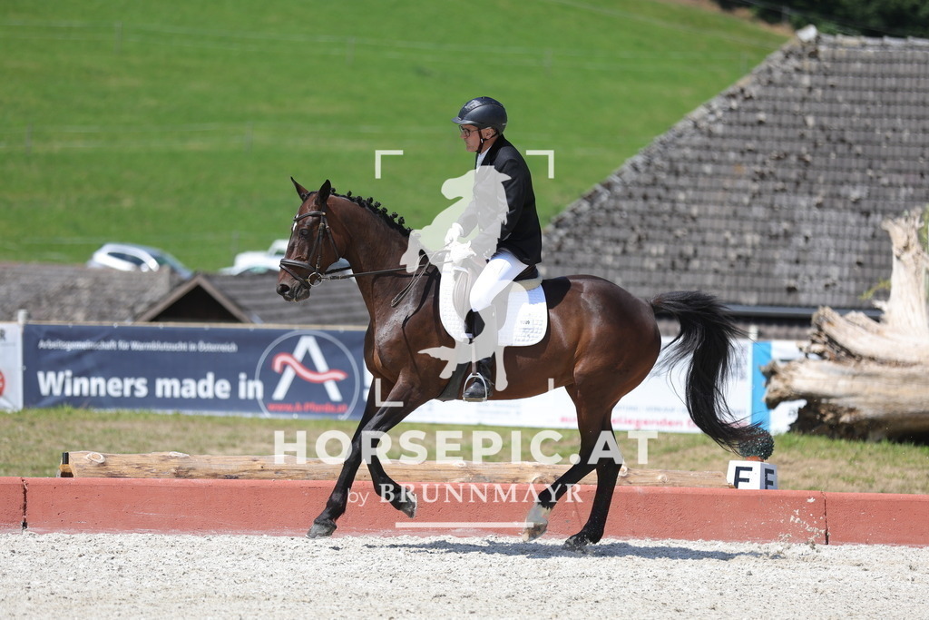 0P6A0829 | Willkommen bei Brunnmayr - Design & Fotografie – Ihrem Spezialisten für Reitturniere und Pferdeveranstaltungen in Oberösterreich, Salzburg und Bayern! Seit über 17 Jahren sind wir leidenschaftlich dabei.