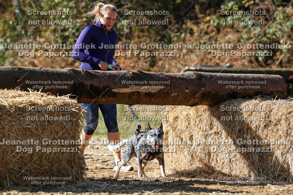 Dog Paparazzi - Strongdog 10-25-4642 | Dog Paparazzi Jeanette Grottendiek Fotografie & Videografie - Realisiert mit Pictrs.com