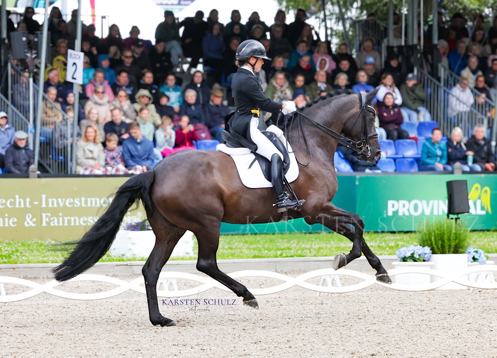 1B3A8067 | Reitsport Reiten