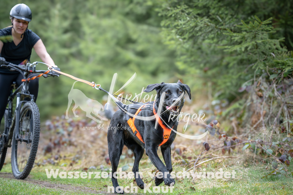 1309_ZZ93761 | kk-dogfotos