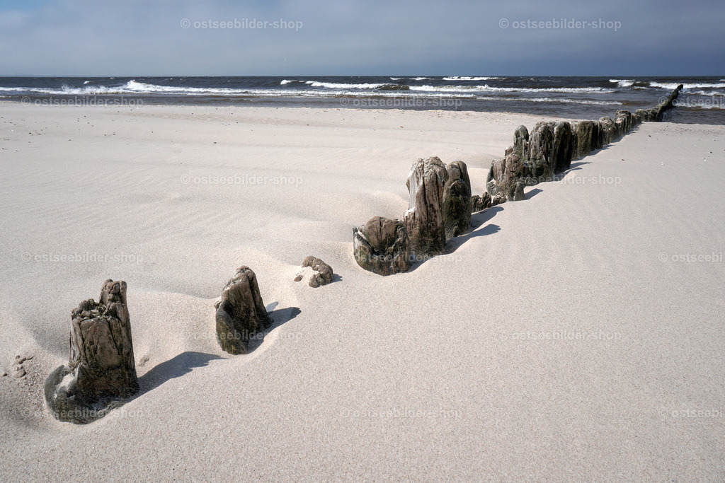 Holzpfähle im feinen Ostseesand | Von der Witterung und der Brandung abgeschliffene Pfähle eines Wellenbrechers kontrasten mit dem feinen Sand am Strand von Misdroy.