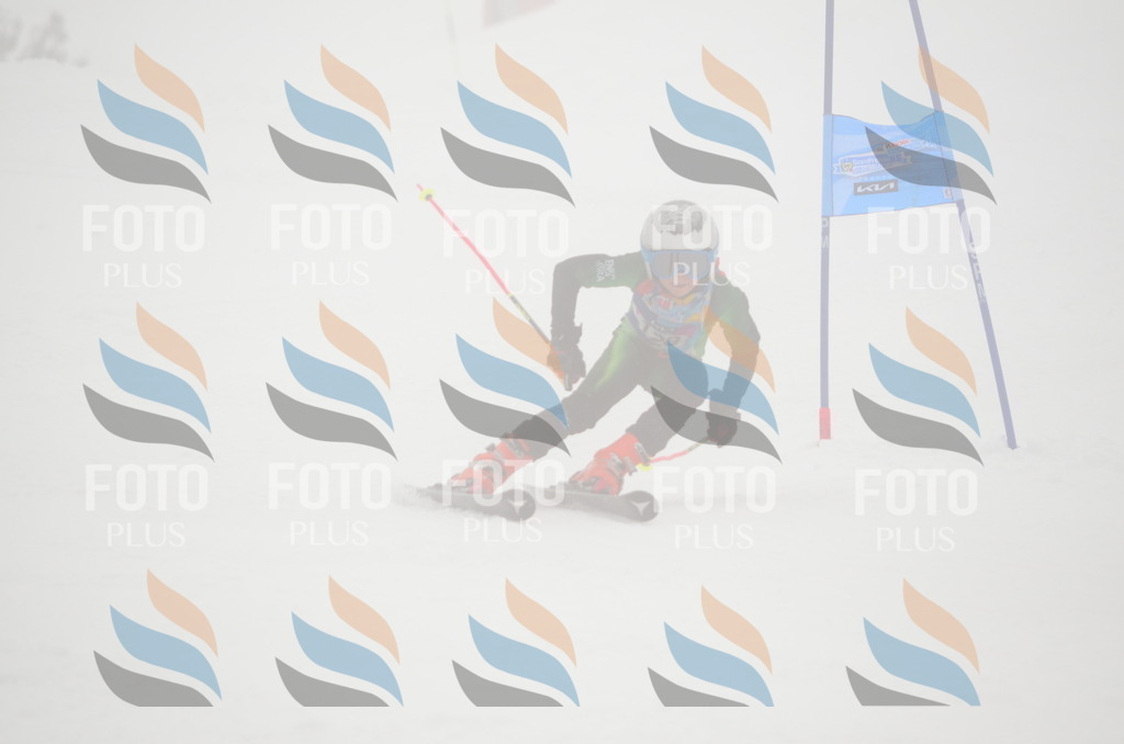 C1605 | holidayphoto