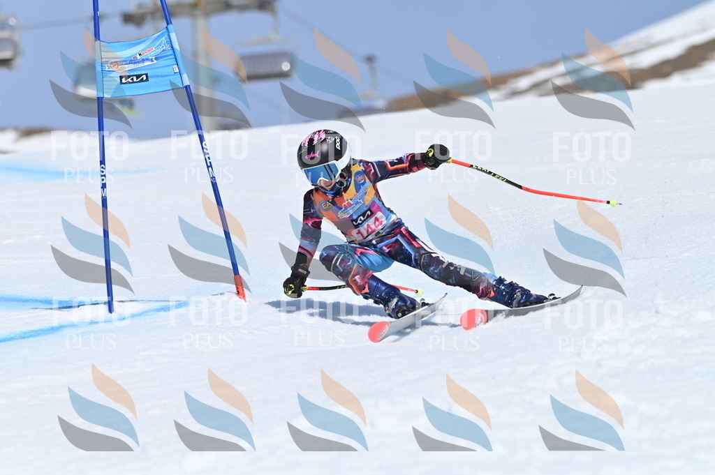 BGV_0218 | holidayphoto