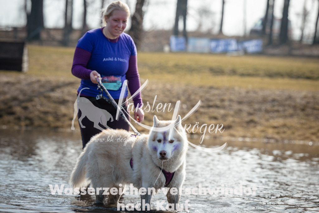 1118_ZZ93712 | kk-dogfotos