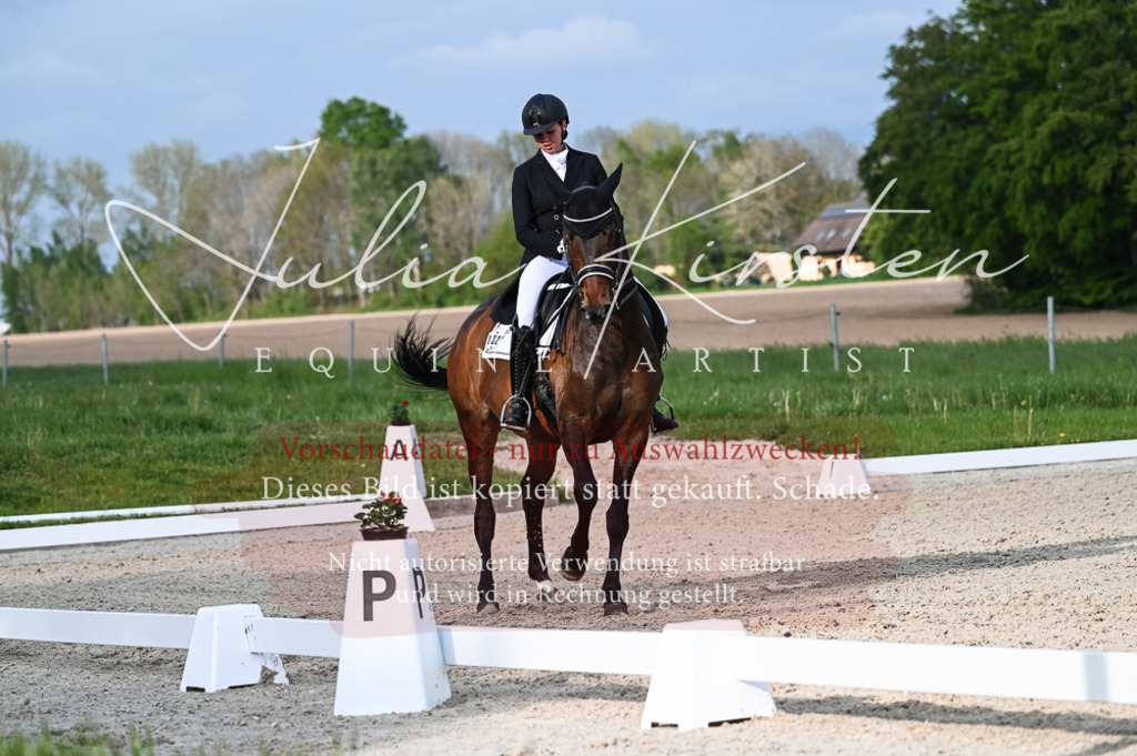 20230513_JK-Röhrsdorf-13-028 | Pferde- und Turnierfotografie in Westsachsen. Pferdeportraits, Auftragszeichnungen und intuitive Kunst.