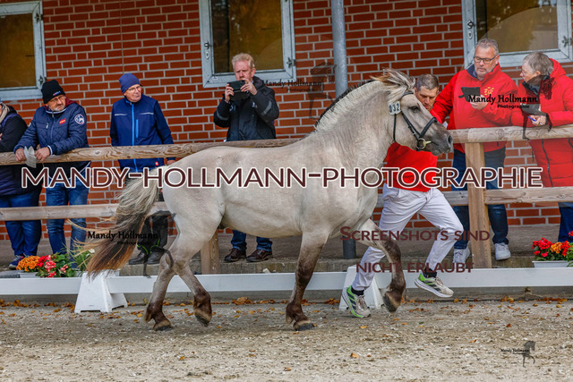 GK (668 von 759) | mandyhollmannphotographie