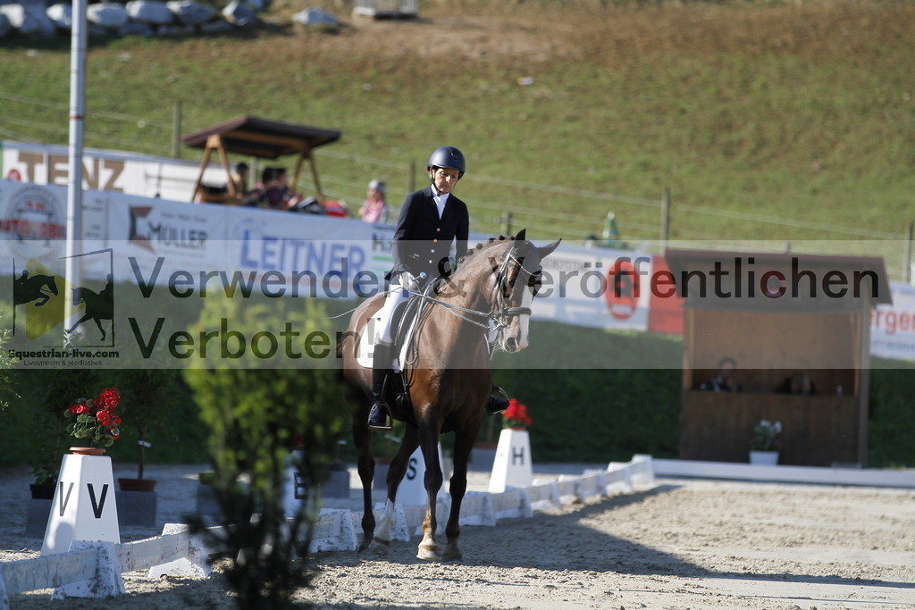 _MG_3284 | equestrian-live-com