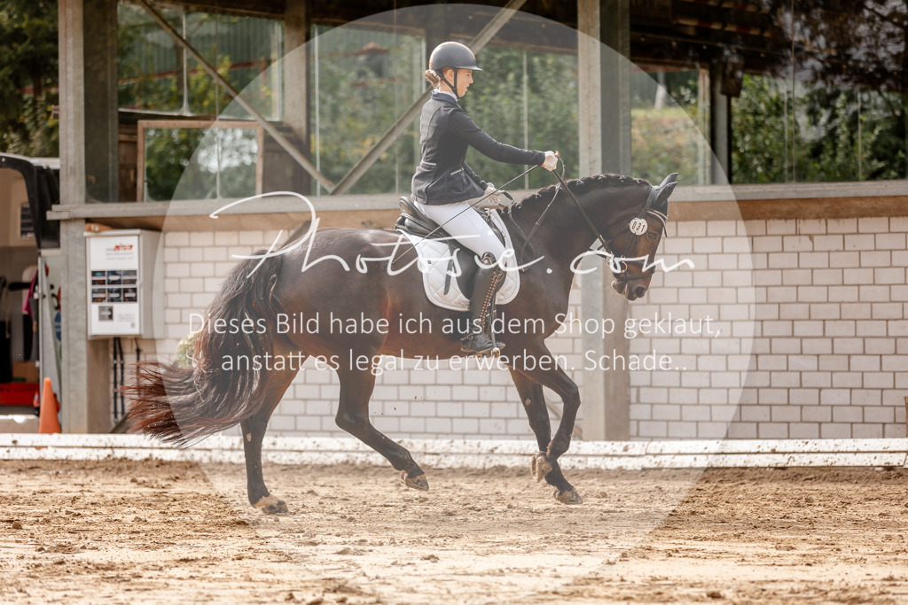 3I6A7095 | Stimmungsvolle Portraits und Reitsportfotografie im Ruhrgebiet und im Münsterland.

Pferdefotografie, Hundefotografie, Tierfotografie, Reportagen, Portraits von Tier und Mensch, Turnierfotografie in Bochum, Recklinghausen, Marl, Haltern am See, Dülmen.. - Realisiert mit Pictrs.com