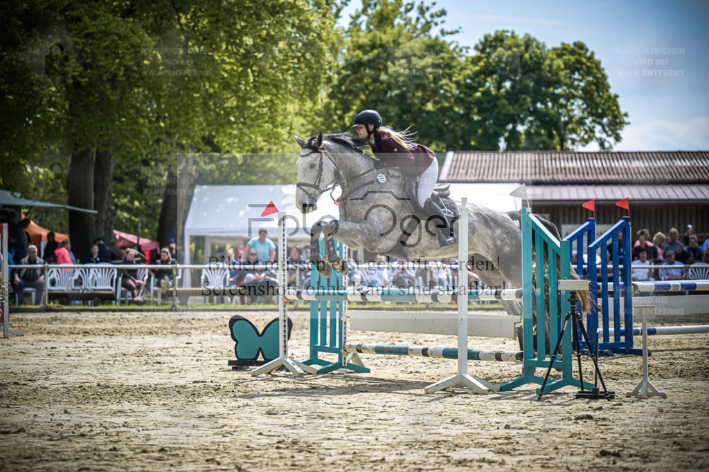 DOS_0482 | Entdecke hochwertige Reitturnierfotos von Foto Oger. Professionell, emotional und authentisch – jetzt Lieblingsmomente im Shop bestellen. - Realisiert mit Pictrs.com