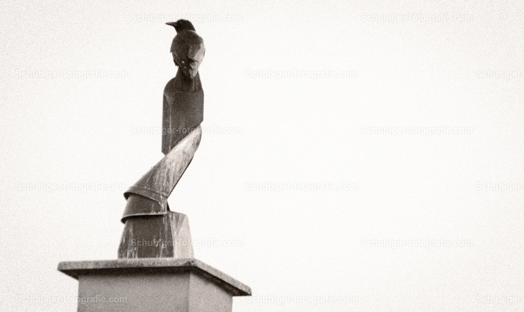 Krähe auf dem Kamin | Krähe auf dem Kamin - Realisiert mit Pictrs.com