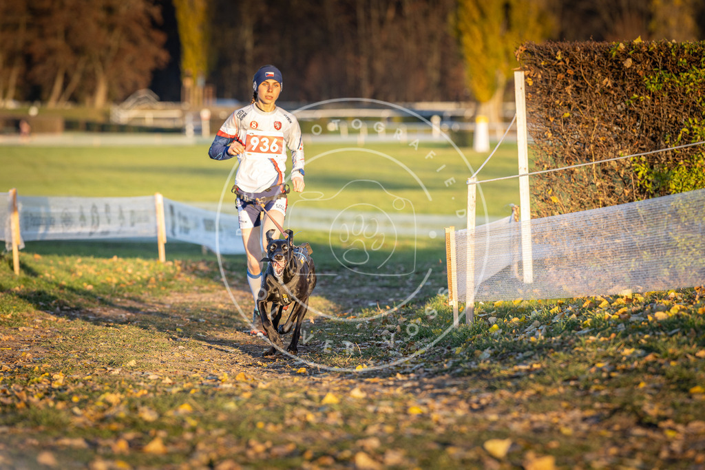 CaniXpix_DV3A5236 | Hundefotografie, Tierfotograf, Pfotenfotografie, Fotoshooting Hund, Hunde Portrait, Hundesport, Hundeportraits, Heideshooting, Hunde, Sportfotograf, Hundefotograf, Turnierhundsport, THS,  - Realisiert mit Pictrs.com