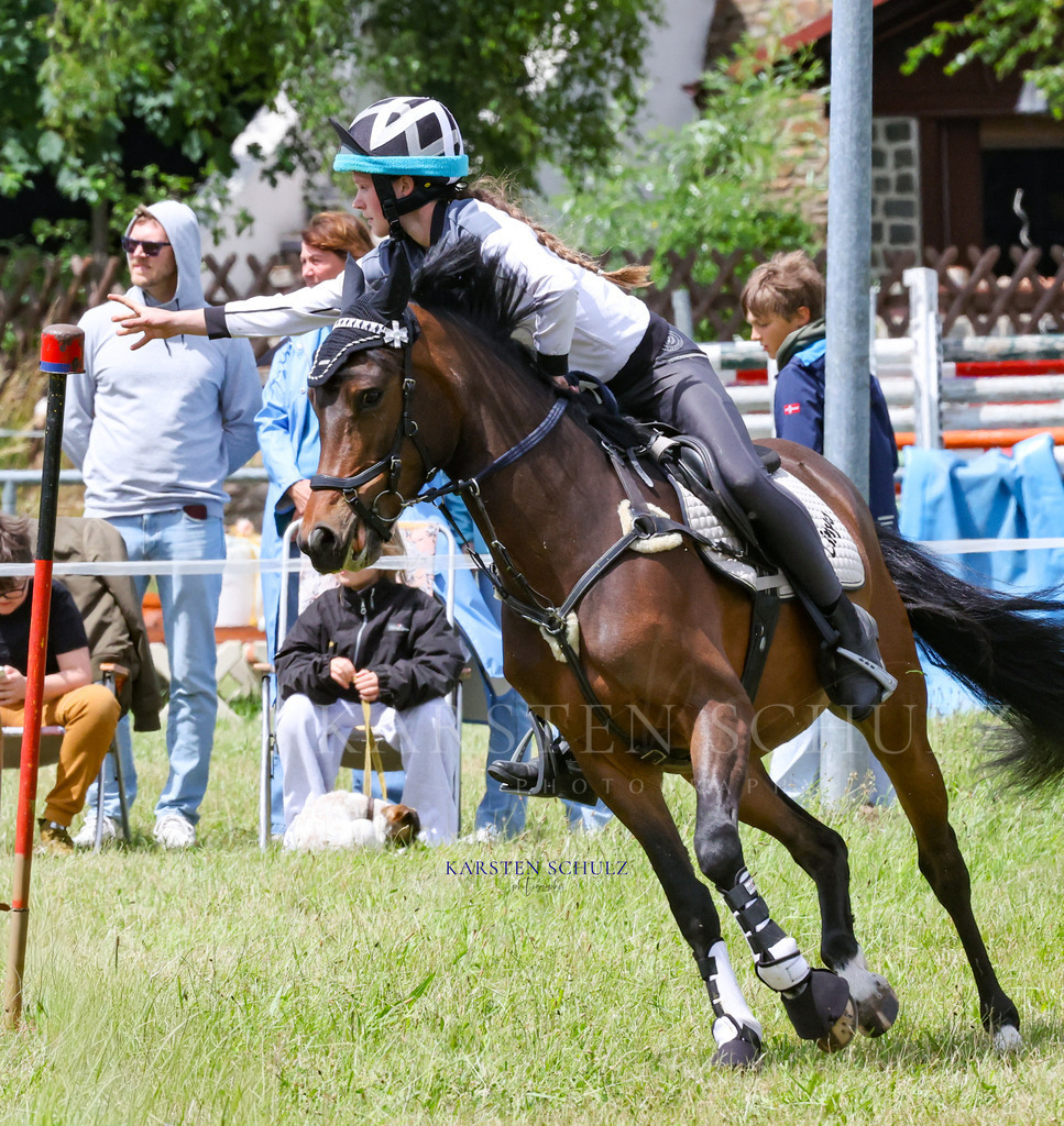 1B3A1087 | Reitsport Reiten