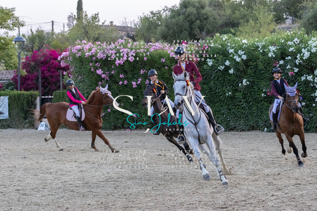 IMG_0265 | s-jay-photography - Realisiert mit Pictrs.com