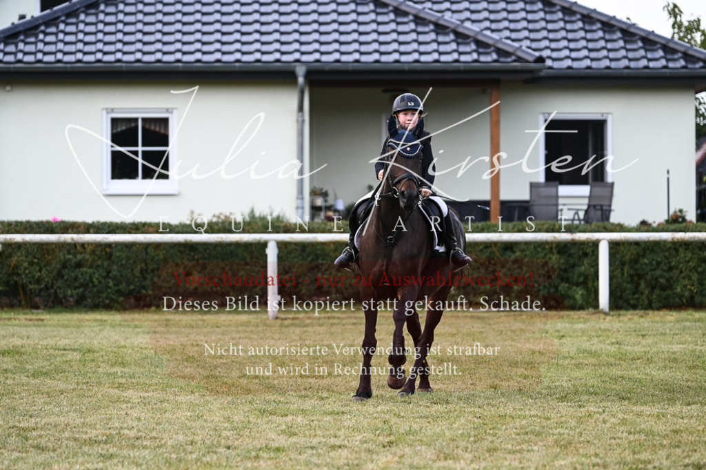 DSC_5572 | Pferde- und Turnierfotografie in Westsachsen. Pferdeportraits, Auftragszeichnungen und intuitive Kunst.