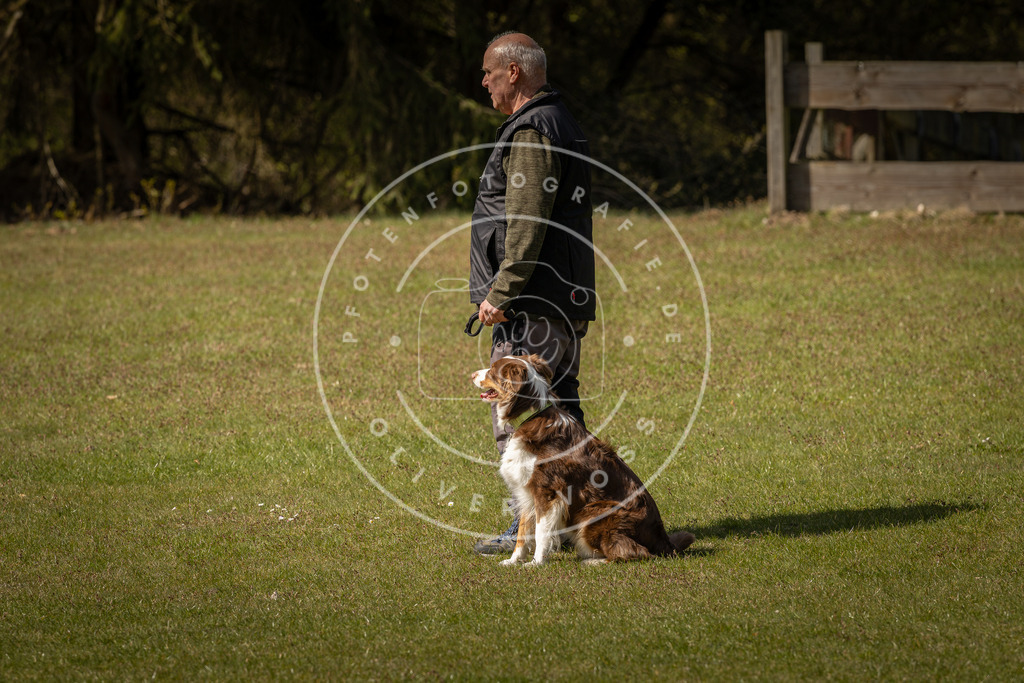 Pfotenfotografie_DV3A1286 | Hundefotografie, Tierfotograf, Pfotenfotografie, Fotoshooting Hund, Hunde Portrait, Hundesport, Hundeportraits, Heideshooting, Hunde, Sportfotograf, Hundefotograf, Turnierhundsport, THS,  - Realisiert mit Pictrs.com