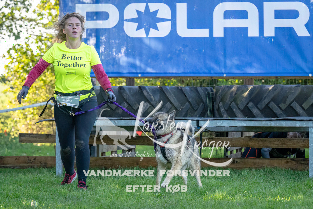 1021--2 | kk-dogfotos