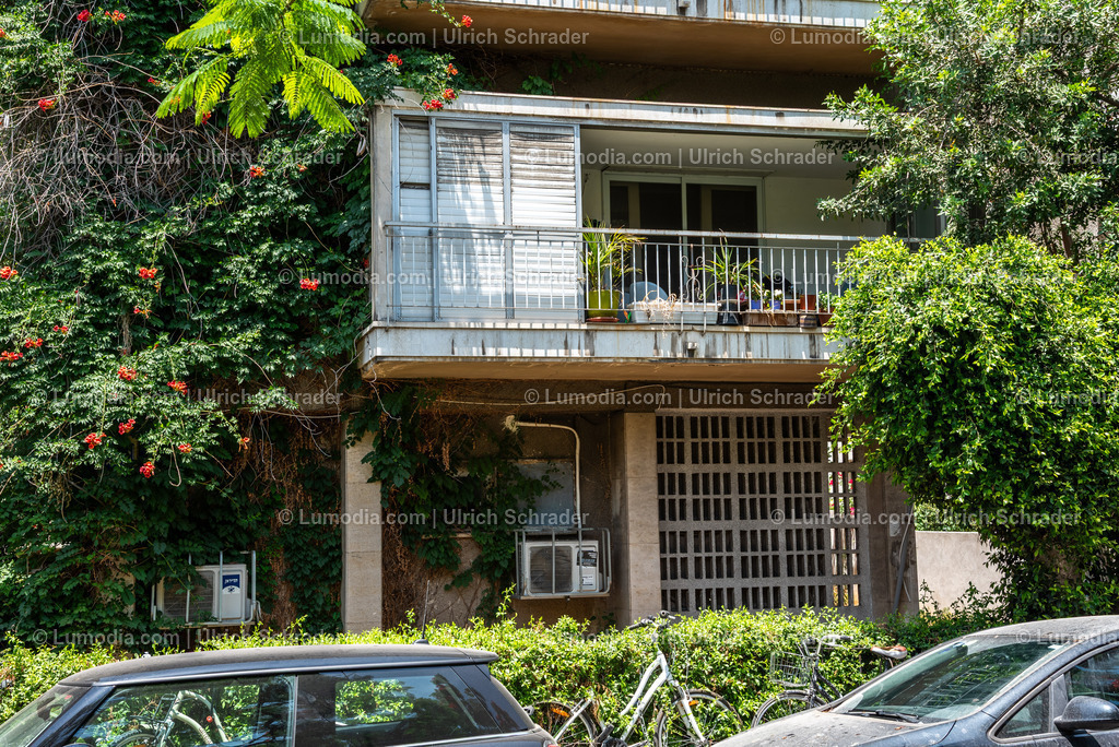 10972-10145 - Tel Aviv - Rothschild Boulevard | Stockfoto und Bilderpool mit Bildmaterial aus Deutschland, dem Harz, Halberstadt, Quedlinburg, Wernigerode und weltweit. Qualitativ hochwertige und professionelle Fotos anschauen und kaufen. - Realisiert mit Pictrs.com