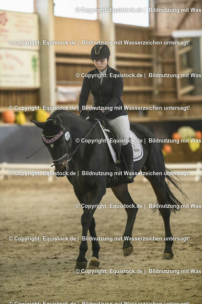 20231029_04_Dressur-WB_0182 | Foto: Thomas Hartig