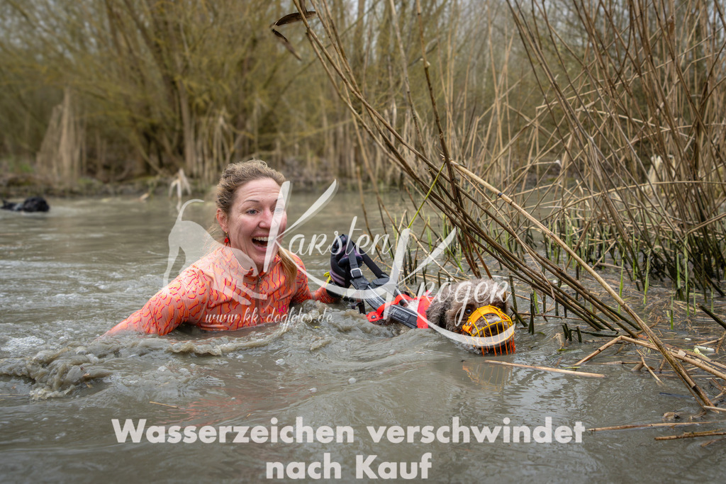 1354_ZZ94152 | kk-dogfotos