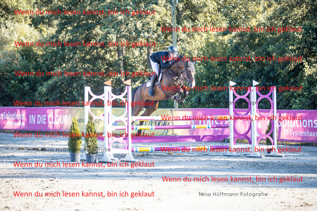 BK1A6218 | Turnierbilder Turnierfotos Nina Hüffmann Turnierfotografie Pferdefotografie Tierzeichnung Haustierzeichnung Pferdezeichnung Hundezeichnung Videograf  - Realisiert mit Pictrs.com