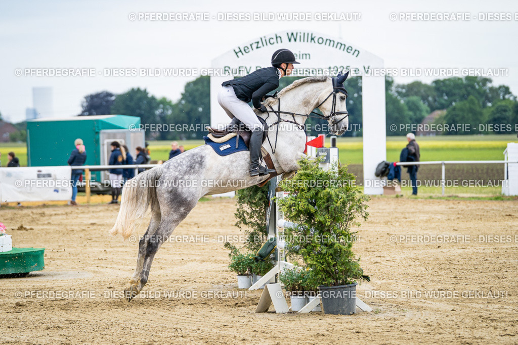 DSC06101 | Pferdegrafie