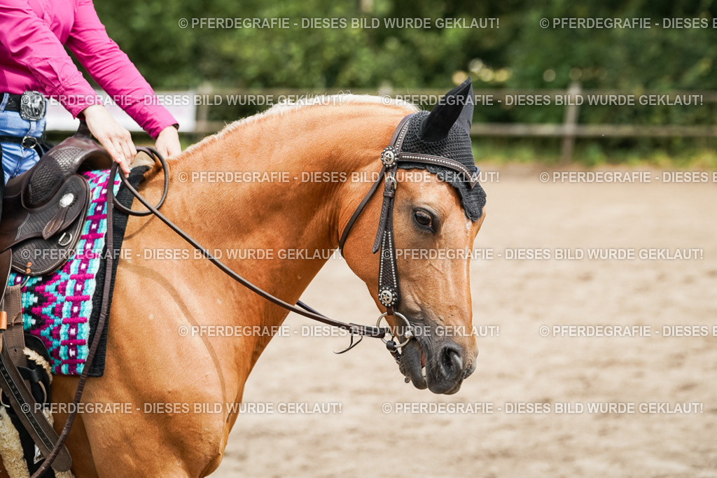 DSC08059 | Pferdegrafie