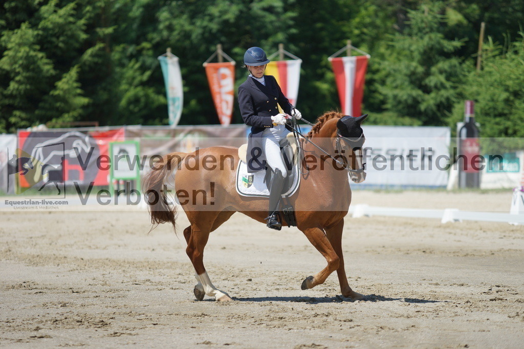 DSC03164 | equestrian-live-com
