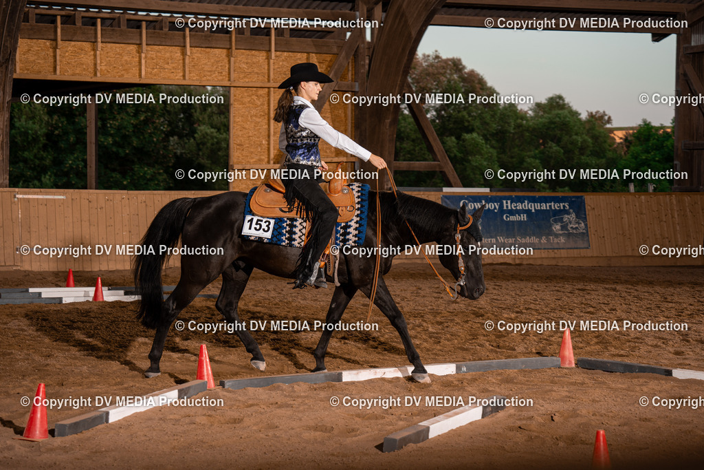 NE101400 | dv-media-shop - Realisiert mit Pictrs.com