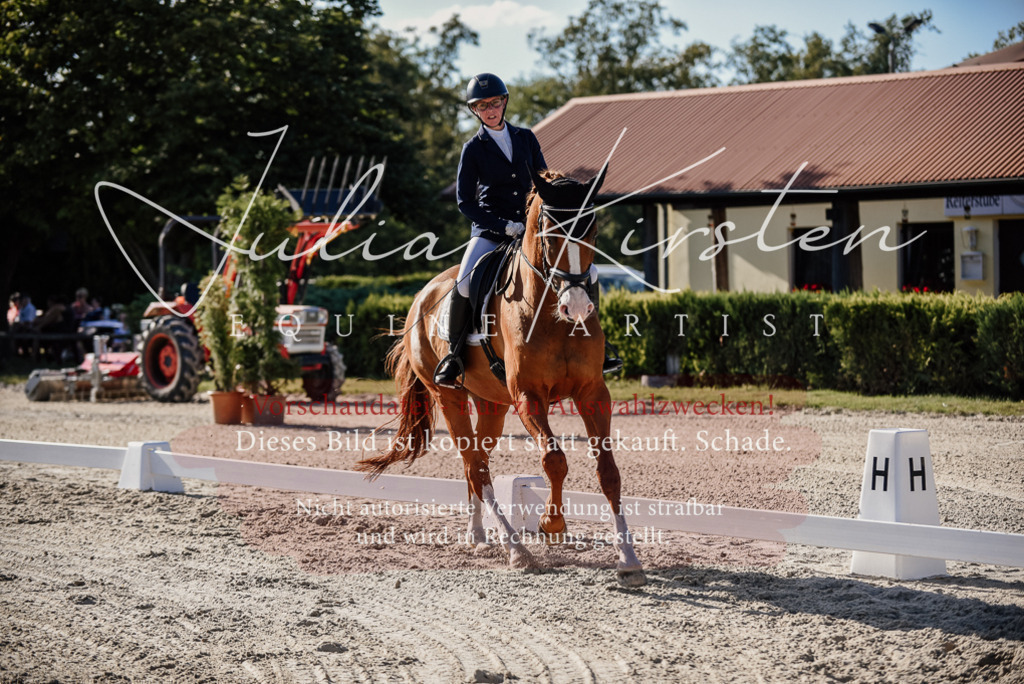 DSC_0492 | Pferde- und Turnierfotografie in Westsachsen. Pferdeportraits, Auftragszeichnungen und intuitive Kunst.