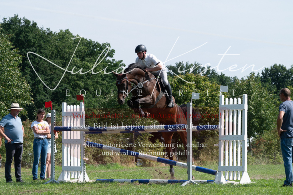 DSC_0857 | Pferde- und Turnierfotografie in Westsachsen. Pferdeportraits, Auftragszeichnungen und intuitive Kunst.
