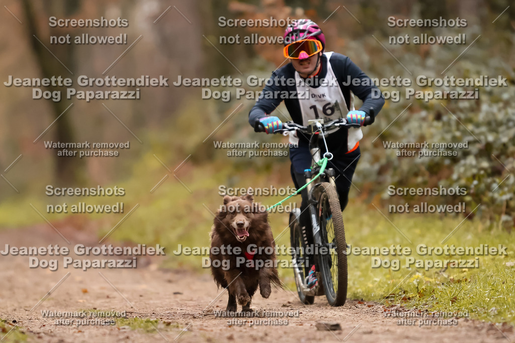 Dog Paparazzi - Speedhunter Mannheim  2025-44 | Dog Paparazzi Jeanette Grottendiek Fotografie & Videografie