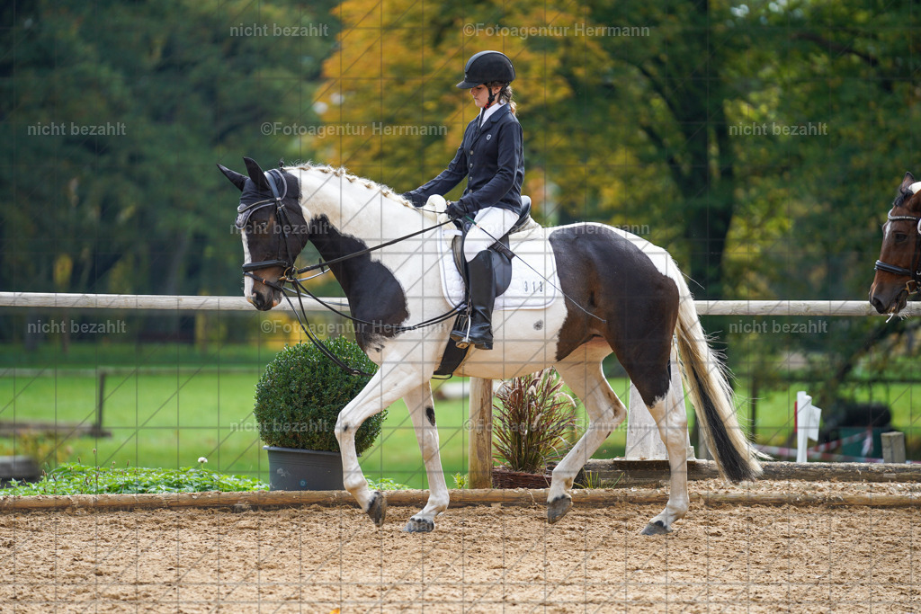 20221008-FAH01175 | Diessen am Ammersee, 2022, Dressur- und Springturnier, Reitsportbilder, Turnierfotografen Bayern, Pferdefotografen, Fotoagentur Herrmann, Turnierbilder