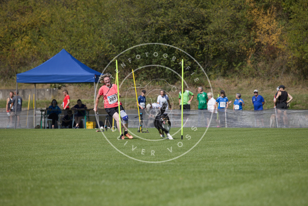 0L8A6548 | Hundefotografie, Tierfotograf, Pfotenfotografie, Fotoshooting Hund, Hunde Portrait, Hundesport, Hundeportraits, Heideshooting, Hunde, Sportfotograf, Hundefotograf, Turnierhundsport, THS,  - Realisiert mit Pictrs.com