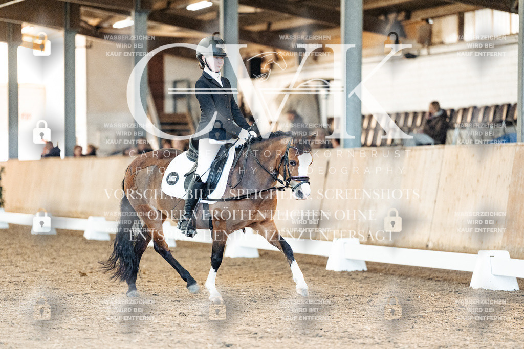CK907461 | Turnierfotografie Pferdefotografie Trier Rheinland-Pfalz Pferdesport Reitsport Tierfotografie Sportfotografie Pferdevideo Pferdevideografie Equestrianvideography equestrianphotography  - Realisiert mit Pictrs.com