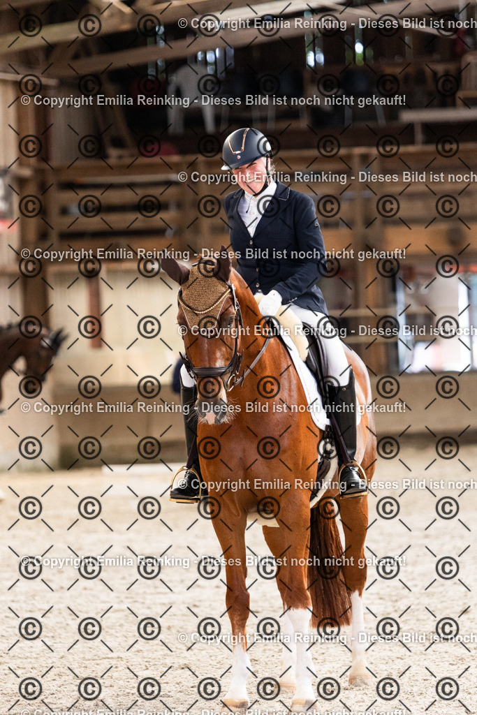 CL5A6040 | Emilia Reinking Fotografie - Realisiert mit Pictrs.com