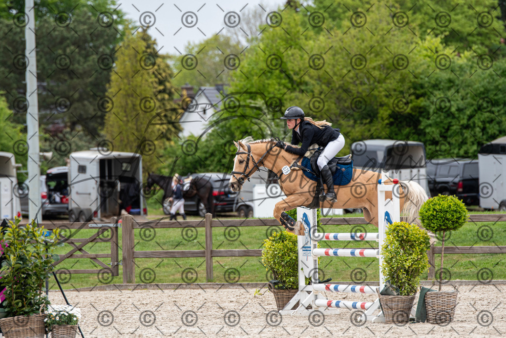 KPT_8353 | andre_photographic