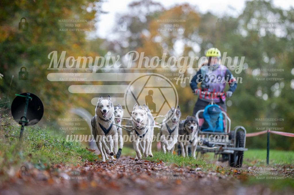DBT_DAKM_SA_4_11_2023_Kart-5 | PayLife
