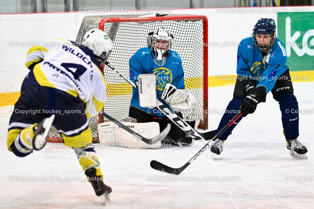 BST_6445 | hockey sports photos, Pressefotos, Sportfotos, hockey247, win 2day icehockeyleague, Handball Austria, Floorball Austria, ÖVV, Kärntner Eishockeyverband, KEHV, KFV, Kärntner Fussballverband, Österreichischer Volleyballverband, Alps Hockey League, ÖFB, 